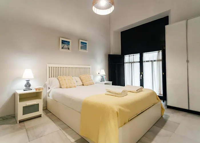 Alohamundi San Vicente